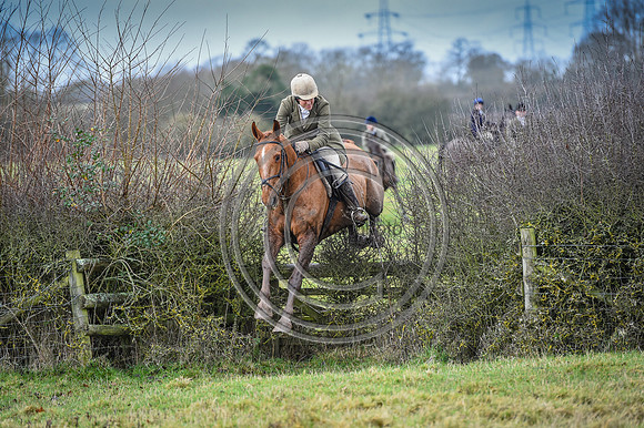 Bicester with Whaddon Chase Hunts