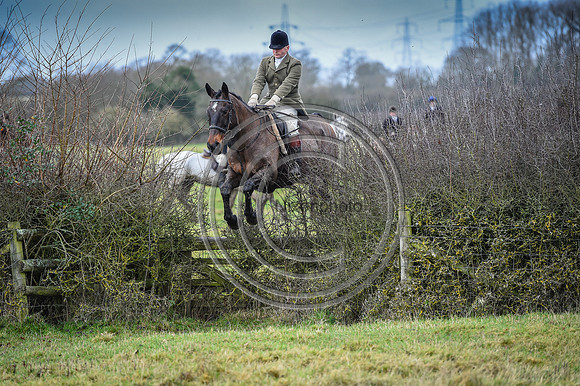 Bicester with Whaddon Chase Hunts