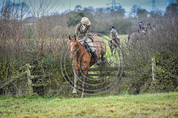 Bicester with Whaddon Chase Hunts