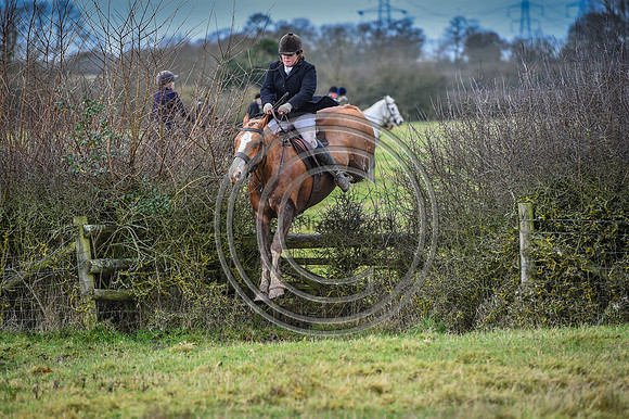 Bicester with Whaddon Chase Hunts