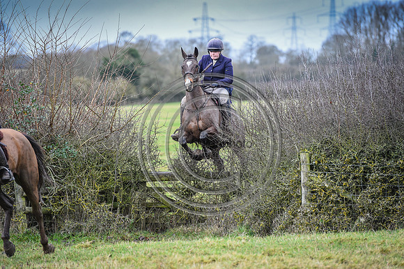 Bicester with Whaddon Chase Hunts