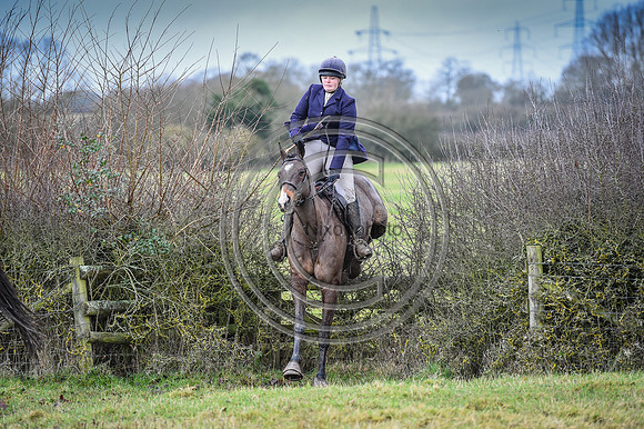 Bicester with Whaddon Chase Hunts