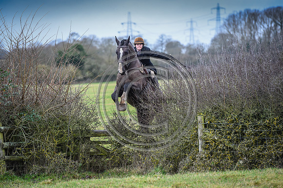 Bicester with Whaddon Chase Hunts