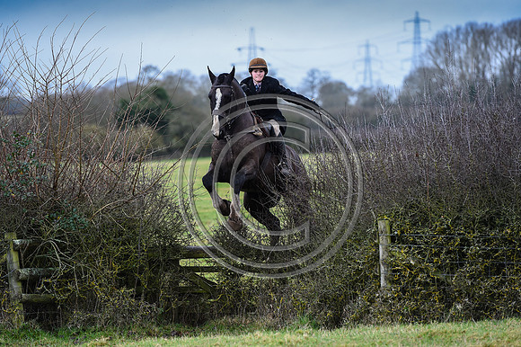 Bicester with Whaddon Chase Hunts
