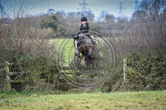 Bicester with Whaddon Chase Hunts
