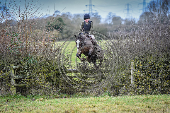 Bicester with Whaddon Chase Hunts