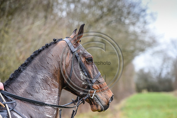 Bicester with Whaddon Chase Hunts