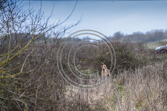 Bicester with Whaddon Chase Hunts