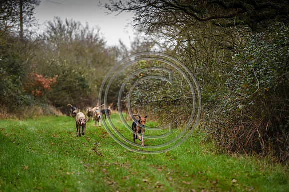 Bicester with Whaddon Chase Hunts