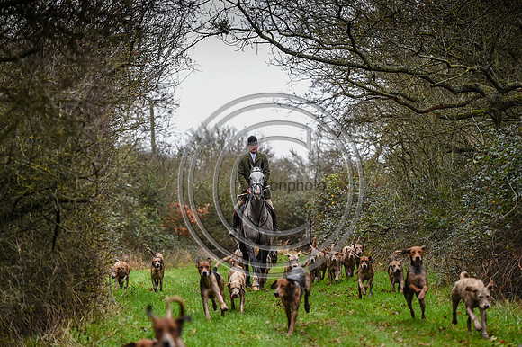 Bicester with Whaddon Chase Hunts