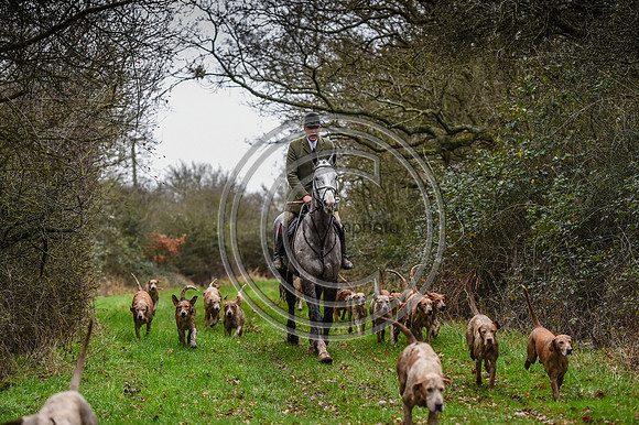Bicester with Whaddon Chase Hunts