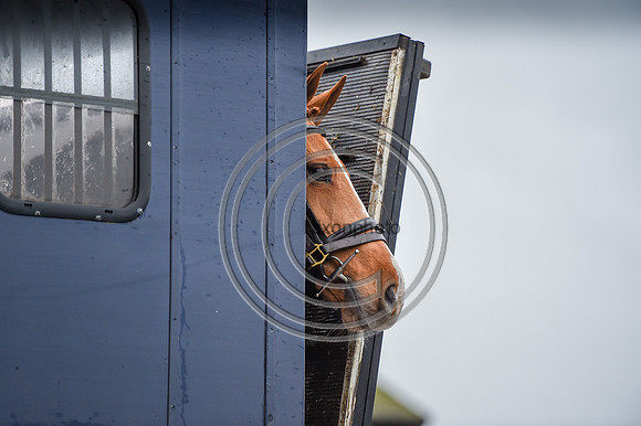 Bicester with Whaddon Chase Hunts