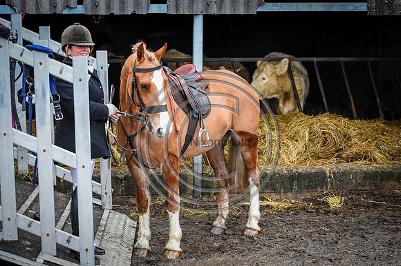 Bicester with Whaddon Chase Hunts