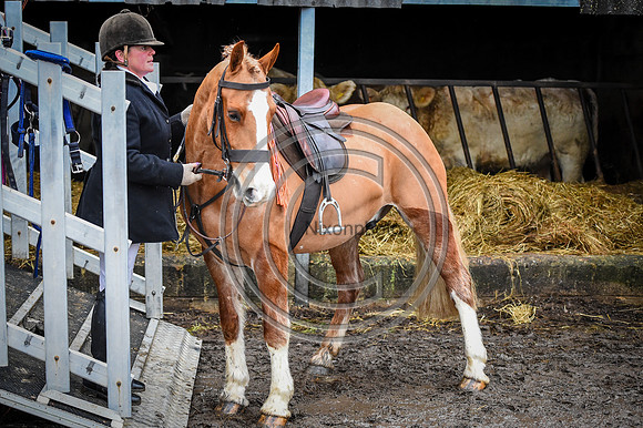 Bicester with Whaddon Chase Hunts
