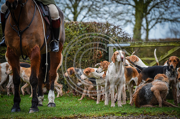 Bicester with Whaddon Chase Hunts