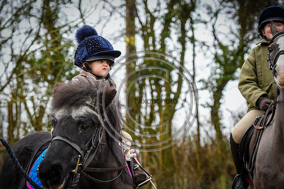 Bicester with Whaddon Chase Hunts