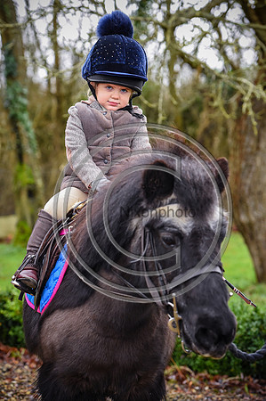 Bicester with Whaddon Chase Hunts