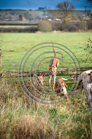 Bicester with Whaddon Chase Hunts