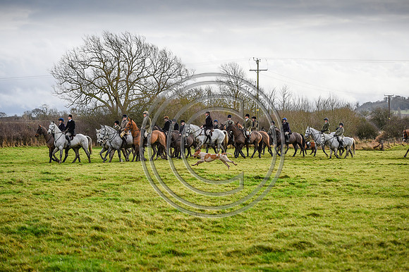 Bicester with Whaddon Chase Hunts