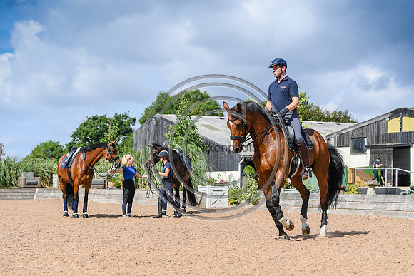 Collective Equestrian