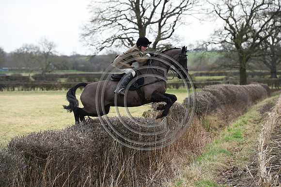SirWWW_Hunting_PN23_122504