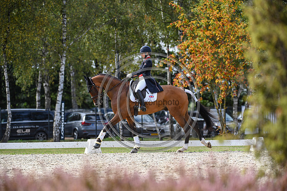 Laura Collett_London 52_EurosLuhmuhlen_PN19_84374