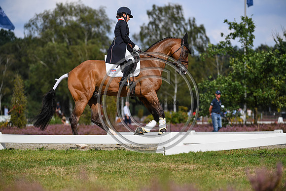 Laura Collett_London 52_EurosLuhmuhlen_PN19_84381