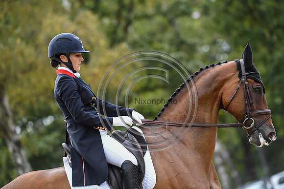 Laura Collett_London 52_EurosLuhmuhlen_PN19_84406