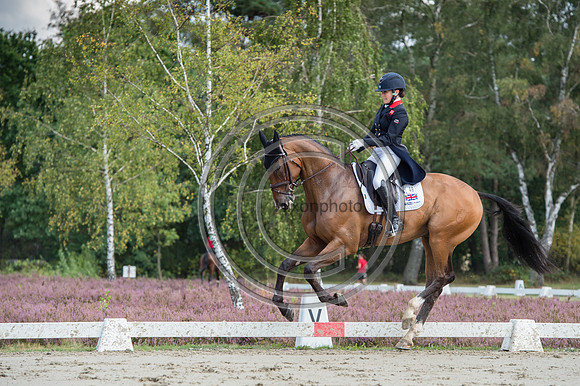 Laura Collett_London 52_EurosLuhmuhlen_PN19_84490