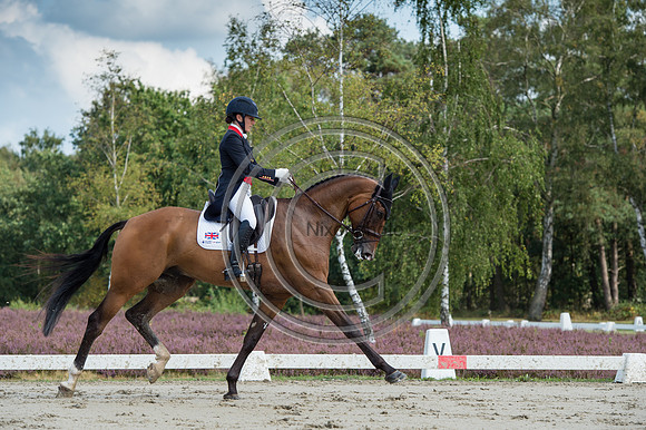 Laura Collett_London 52_EurosLuhmuhlen_PN19_84495