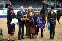 London International Horse Show