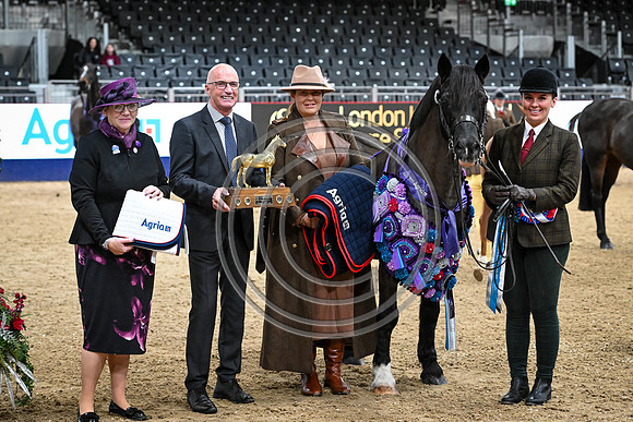 London International Horse Show