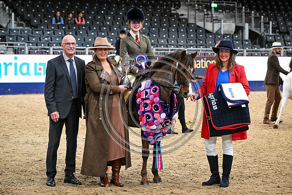London International Horse Show