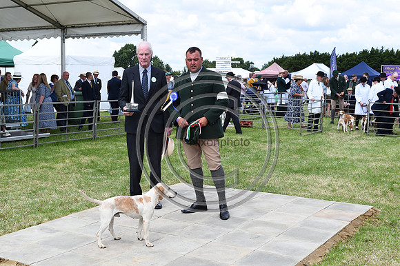 Festival of Hounds 2024