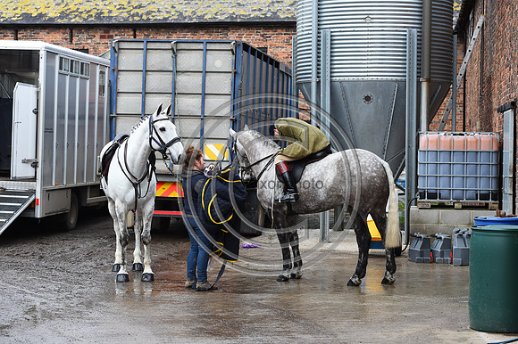 Oliver Townend with Henry Bailey