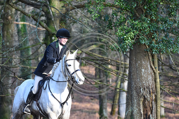 New Forest Hunts