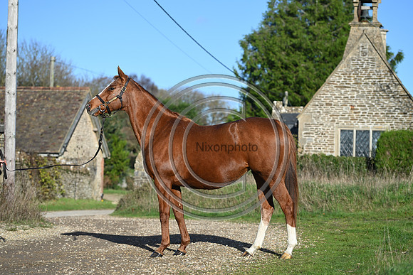 Mare_Selwood_PN29
