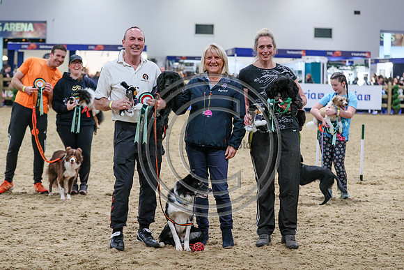 European Sports Horses