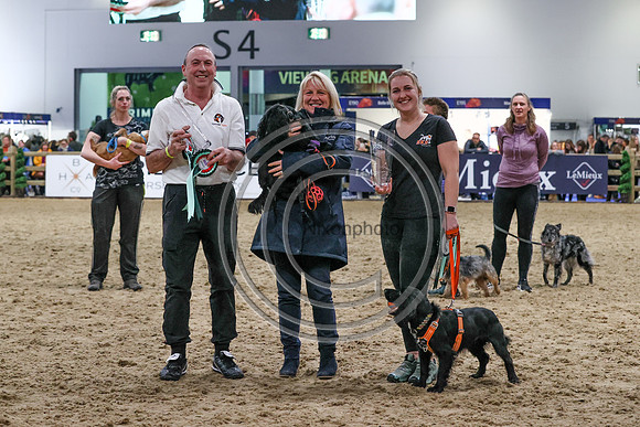 European Sports Horses