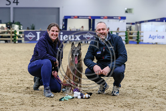 European Sports Horses