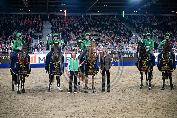 European Sports Horses