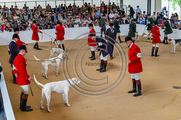 Festival of Hounds 2024