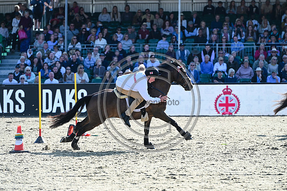 DAKS_PC_RWHS25_P190000