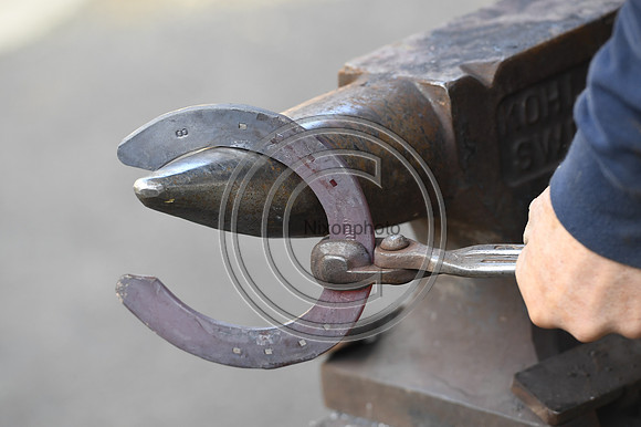 Nigel Perrott_Farrier_PN20_51877