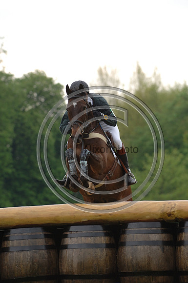 Badminton 2006