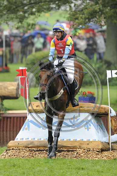 FEI European Eventing Championship,Luhmuehlen,Germany,27 August 2011
