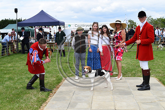 Festival of Hounds 2024