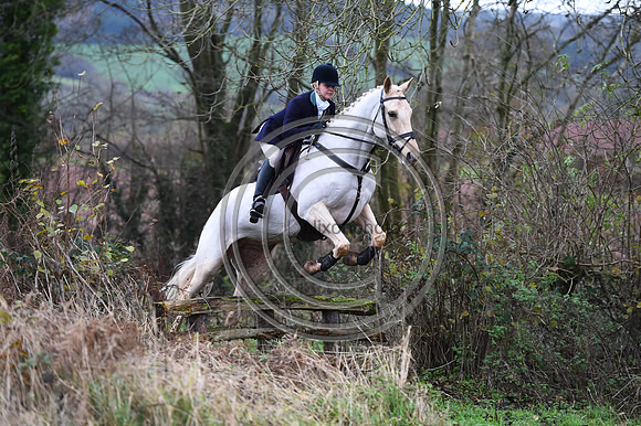Ludlow_Hunting_14