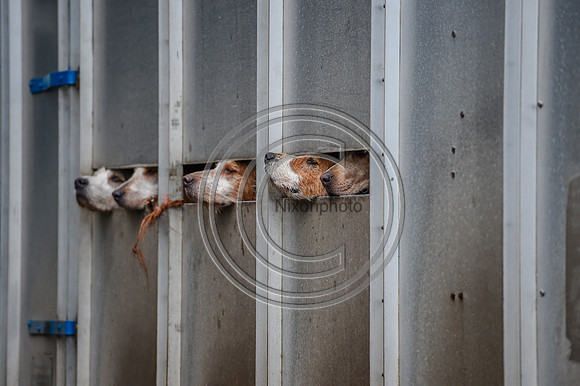 RadnorWestHereford_Hunting_PN24_13791