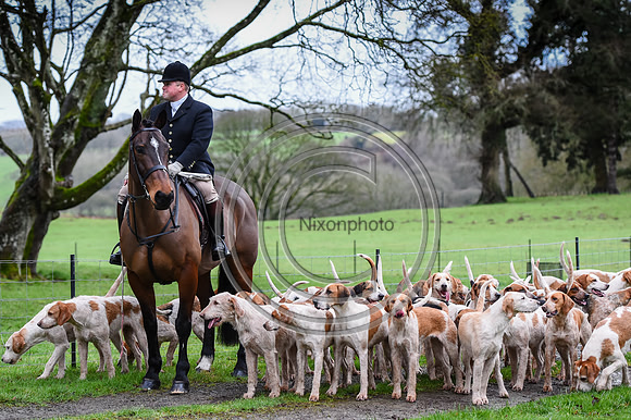 RadnorWestHereford_Hunting_PN24_13818